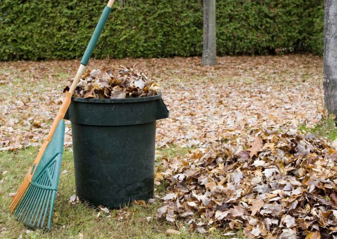 Yard Waste Junk Removal-Loxahatchee Junk Removal and Trash Haulers